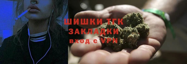 индика Сафоново