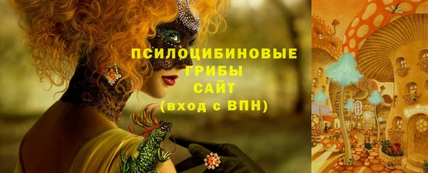 соль курить ск Алзамай