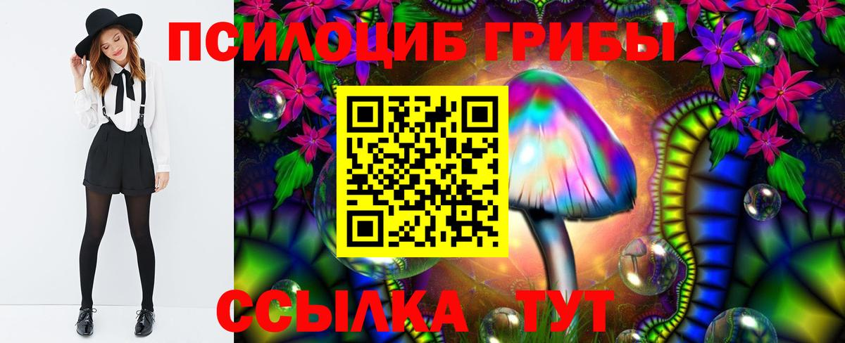 Галлюциногенные грибы Psilocybe Тамбов